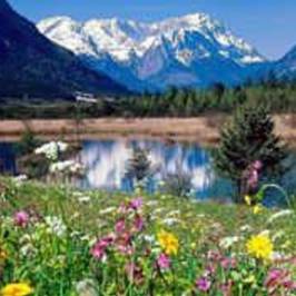 Dazhanhe National Forest Park