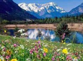 Dazhanhe National Forest Park