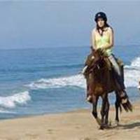 Beach and Jungle Horseback Riding