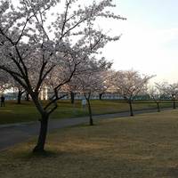 Niida Park