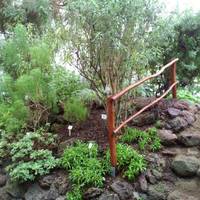 Botanischer Garten