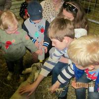 Pigeons Farm