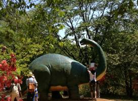 Mito City Forest Park