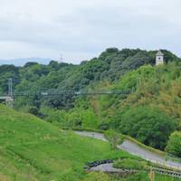 Harvest Hill