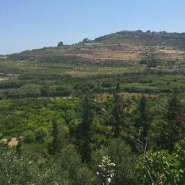 Merill Eco Tours
