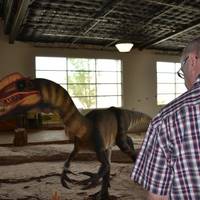 St. George Dinosaur Discovery Site at Johnson Farm