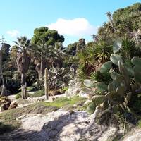 Orto Botanico