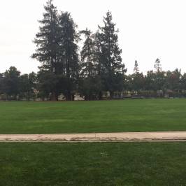 Municipal Rose Garden