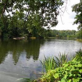 Deutsch-Franzoesischer Garten