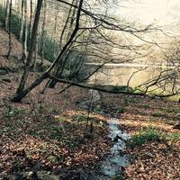 Yedigoller National Park