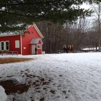 Blandford Nature Center