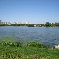 Nanhu Garden