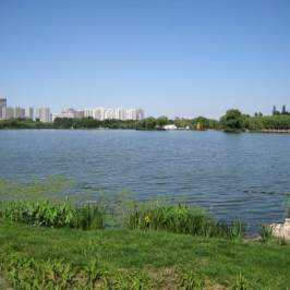 Nanhu Garden