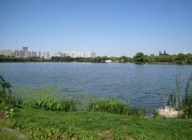 Nanhu Garden
