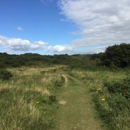 Merthyr Mawr Sand Dunes
