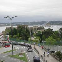 San Carlos Garden