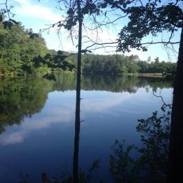 Paris Mountain State Park