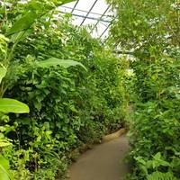 Butterfly World