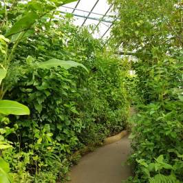 Butterfly World