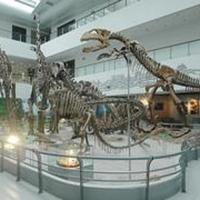 China University of Geosciences Museum