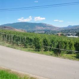 Davison Orchards Country Village