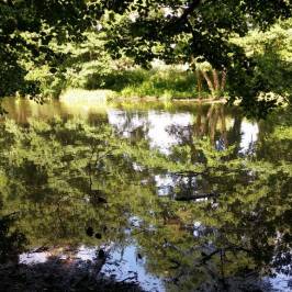 Stanton Park