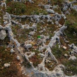 Cart Ruts