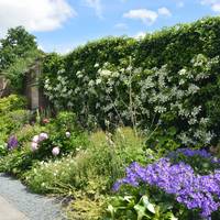 Holehird Gardens
