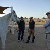The Desert Ranch