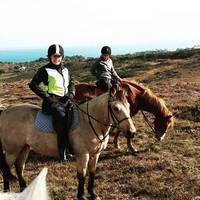 Studland Stables