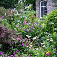 Pinsla Garden and Nursery