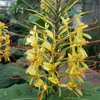 St Andrews Botanic Garden