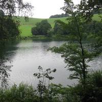 Hennesee