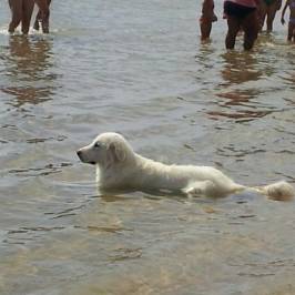 Oasi Beach