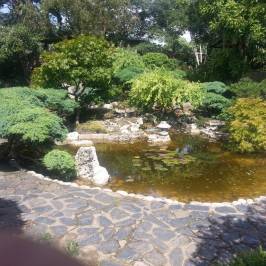 Capel Manor Gardens