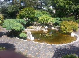 Capel Manor Gardens