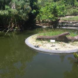 Jardin Botanico La Laguna