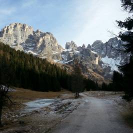 Parco Paneveggio - Pale di San Martino