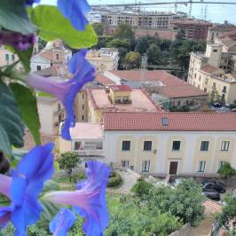 Giardino della Minerva
