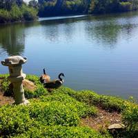 Shinzen Japanese Garden