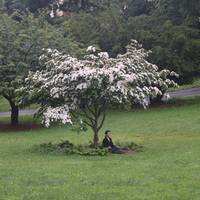Fort Tryon Park
