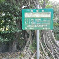 Tagayama Park