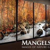 Thomas D. Mangelsen's Images of Nature Gallery