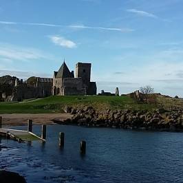 Forth Boat Tours
