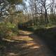 author-name