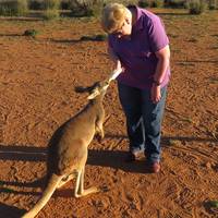 The Kangaroo Sanctuary