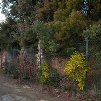 Villa Romana