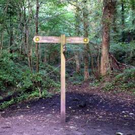 Loggerheads Country Park