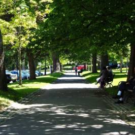 King's Square