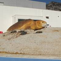 Acquario Cala Gonone